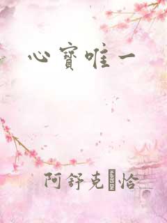 心宝唯一