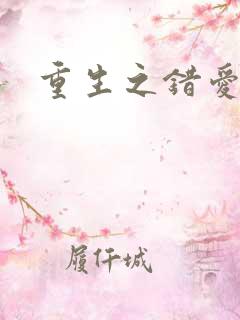 重生之错爱