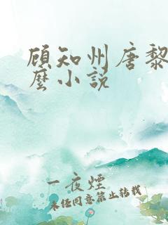 顾知州唐黎叫什么小说