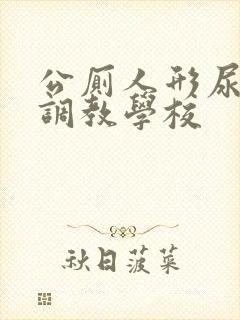 公厕人形尿便器调教学校