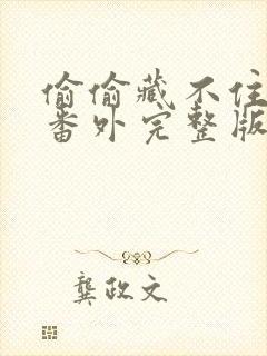 偷偷藏不住新婚番外完整版