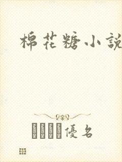 棉花糖小说下载