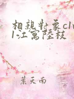 相亲对象c1v1江寓陆枝