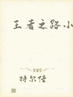 王者之路小说