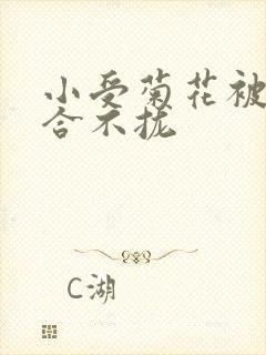 小受菊花被双龙合不拢