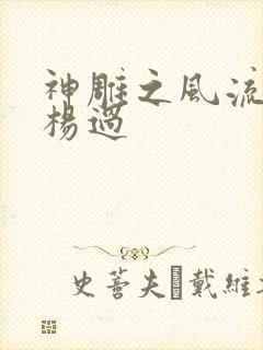 神雕之风流浪子杨过