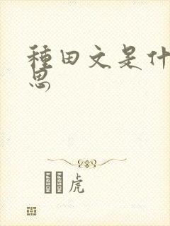 种田文是什么意思