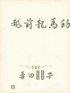 越前龙马的小说