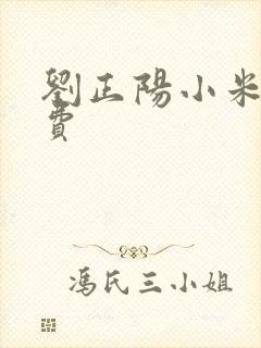 刘正阳小米多免费