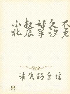 小叔好久不见顾北辰宁汐免费阅读