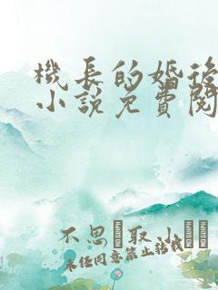 机长的婚后日常小说免费阅读