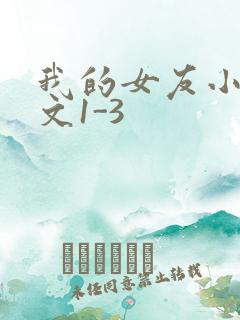 我的女友小洁全文1-3