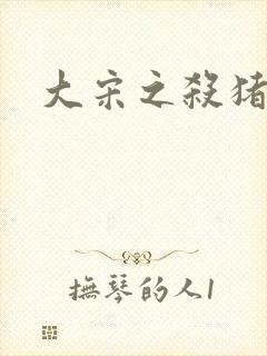 大宋之杀猪状元