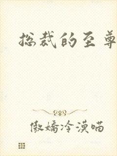 总裁的至尊前妻