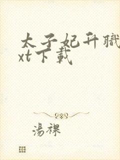 太子妃升职记txt下载