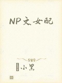 NP文女配