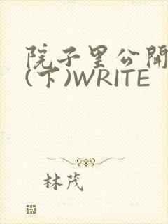 院子里公开惩戒(下)WRITE