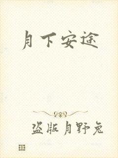 月下安途