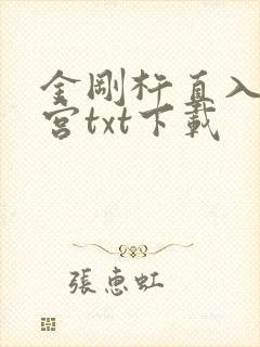 金刚杵直入莲花宫txt下载