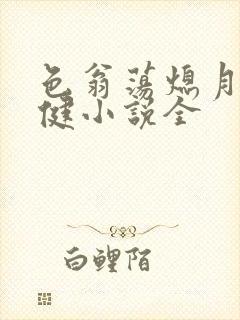 色翁荡熄月月健健小说全