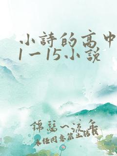 小诗的高中日记1一15小说