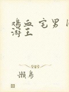 鸡血 宅男 网游王