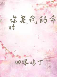 你是我的命运txt