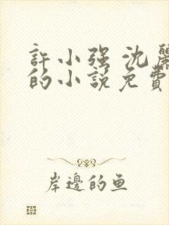 许小强 沈丽娟的小说免费阅读