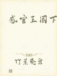 感官王国下载