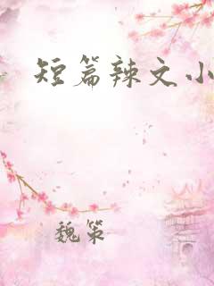 短篇辣文小说