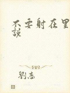 不要射在里面小说