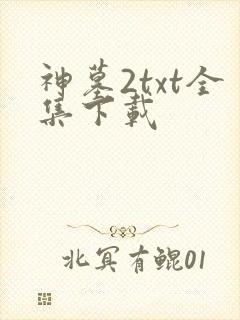 神墓2txt全集下载