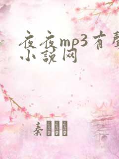 夜夜mp3有声小说网