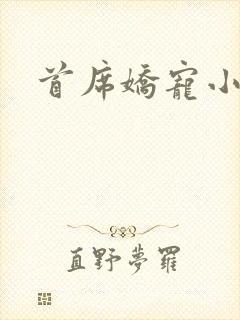 首席娇宠小情人