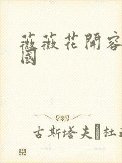 薇薇花开容颜倾国