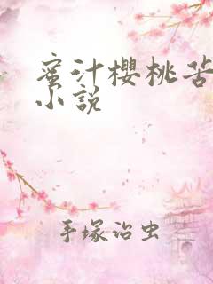 蜜汁樱桃苦咖啡小说