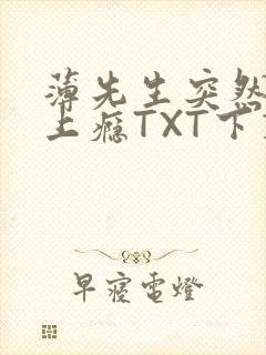 薄先生突然黏她上瘾TXT下载