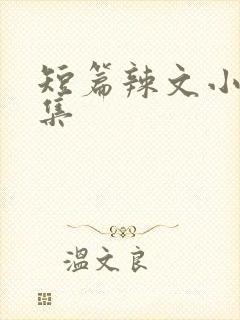 短篇辣文小说合集