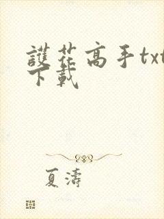 护花高手txt下载