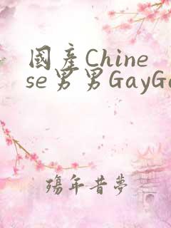 国产Chinese男男GayGayAPP
