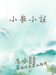 小米小说