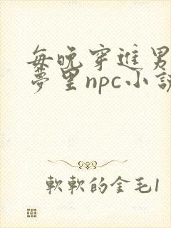 每晚穿进男神的梦里npc小说