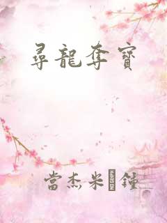 寻龙夺宝