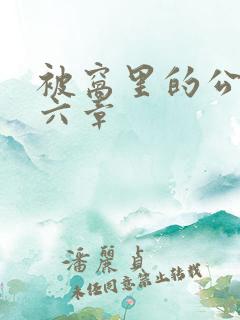 被窝里的公息十六章