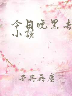 今日晚黑去见你小说