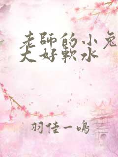 老师的小兔子好大好软水