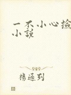 一不小心捡到爱小说