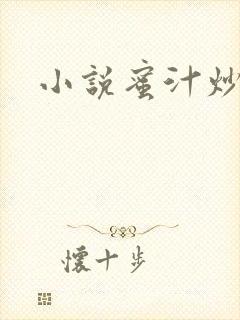 小说蜜汁炒鱿鱼