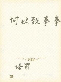 何以致拳拳番外