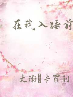 在我入睡前